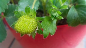 tumblr_n4kzo0keRz1tzjgr1o1_1280