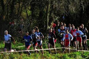 10343006_753597618058345_7722149883237941777_n