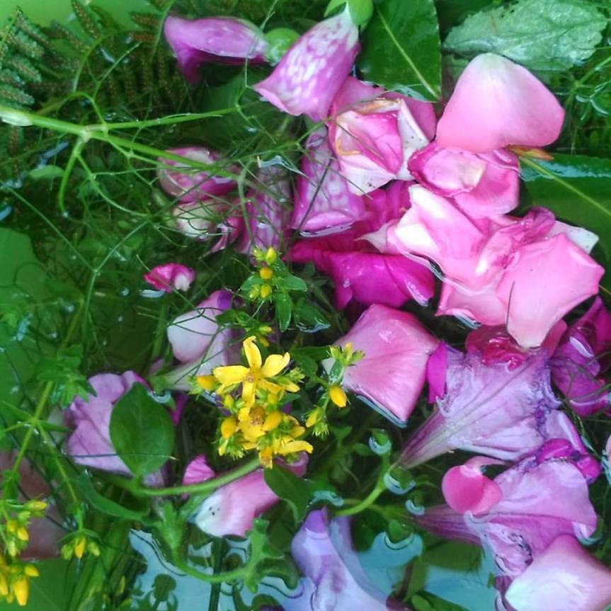 19399307_10210190726308570_2915294123906994376_n