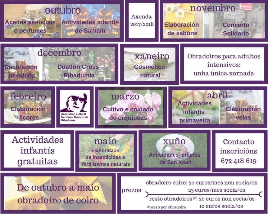 Axenda actividades 20172018 (1)